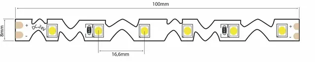 LED Snake 24V 5M 